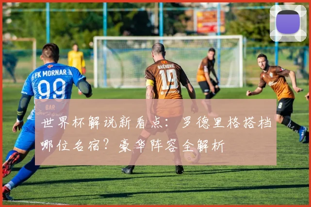 世界杯解说新看点：罗德里格搭档哪位名宿？豪华阵容全解析