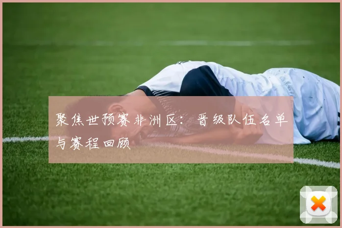 聚焦世预赛非洲区:晋级队伍名单与赛程回顾